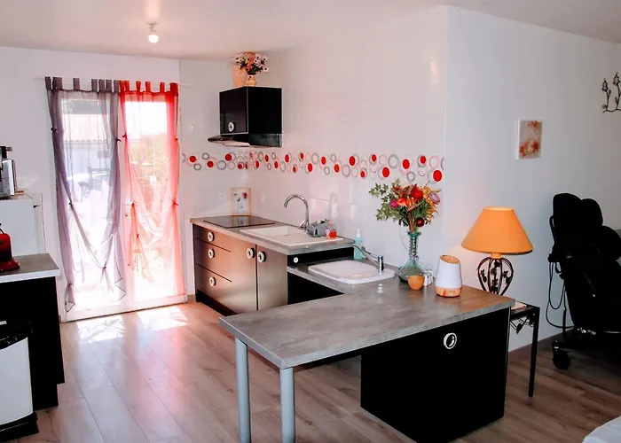 Apartment Le 16 Bis Climatise Pmr *